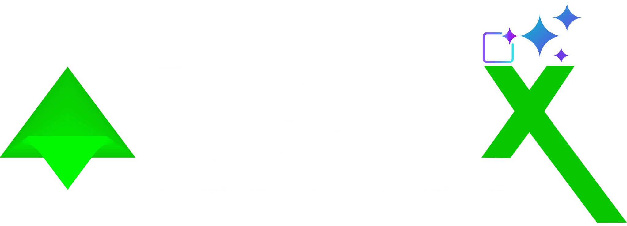 PerfX Logo